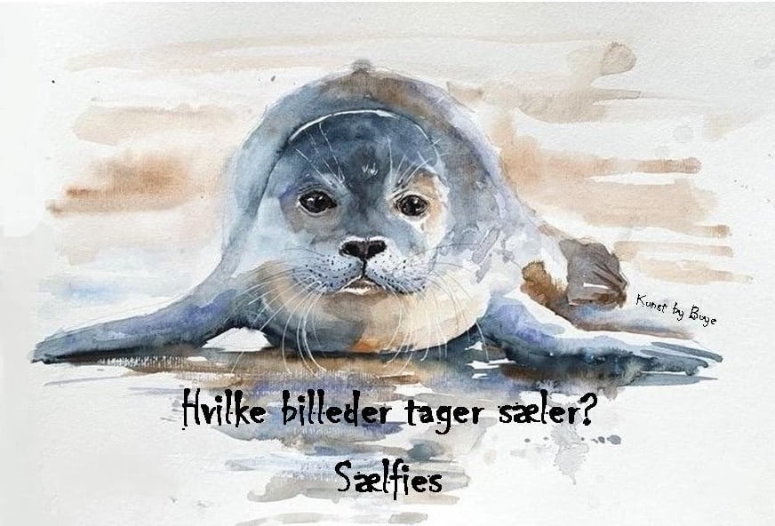 Kunstkort med akvarelmotiv af "Hvilke billeder tager sæler? sælfies" af Annette Boye
