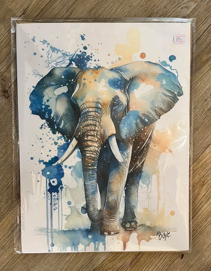 Kunst tryk lavet af akvarel 30x40 cm "A3"  pris 275kr