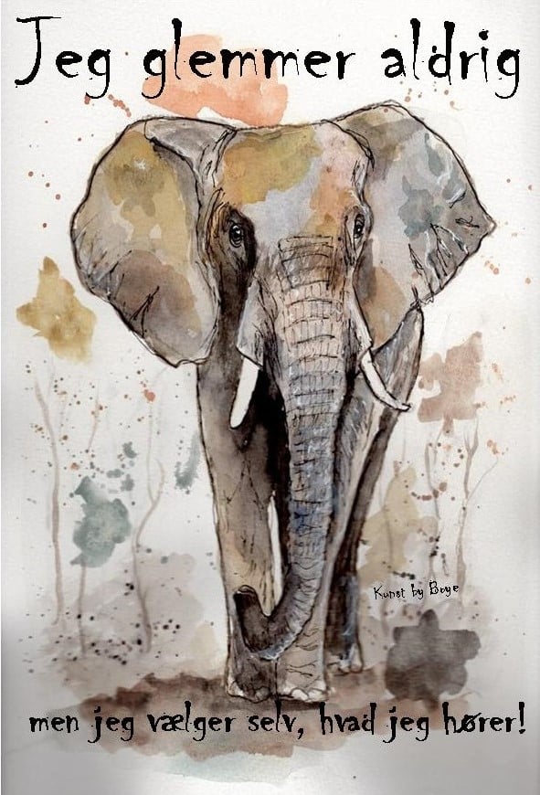 Kunstkort med akvarelmotiv af "Elefant" af Annette Boye