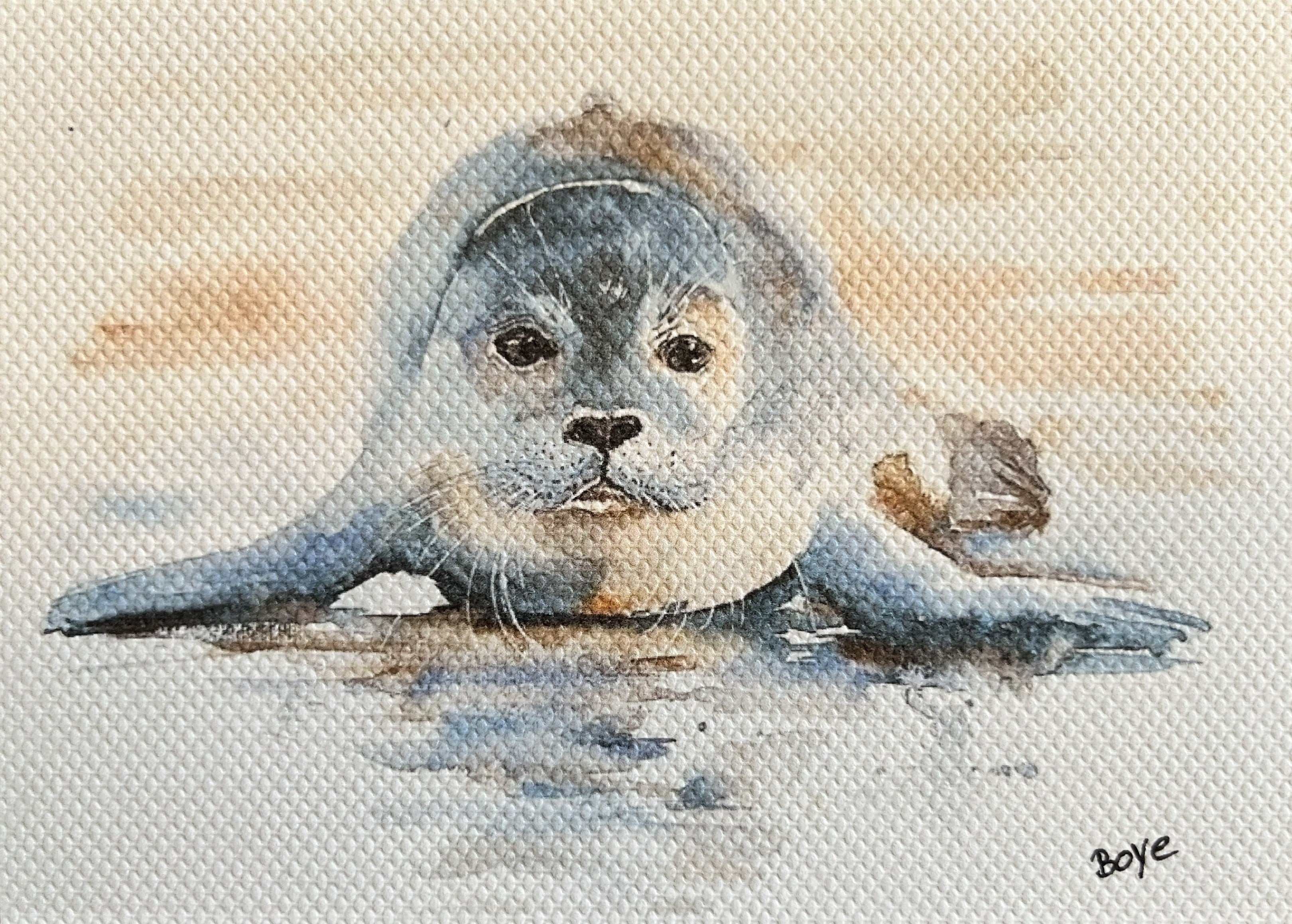Håndmalet akvarel af Sæl fra Rømø – Kunst by Boye Håndmalet akvarel af Sæl fra Rømø – Kunst by Boye