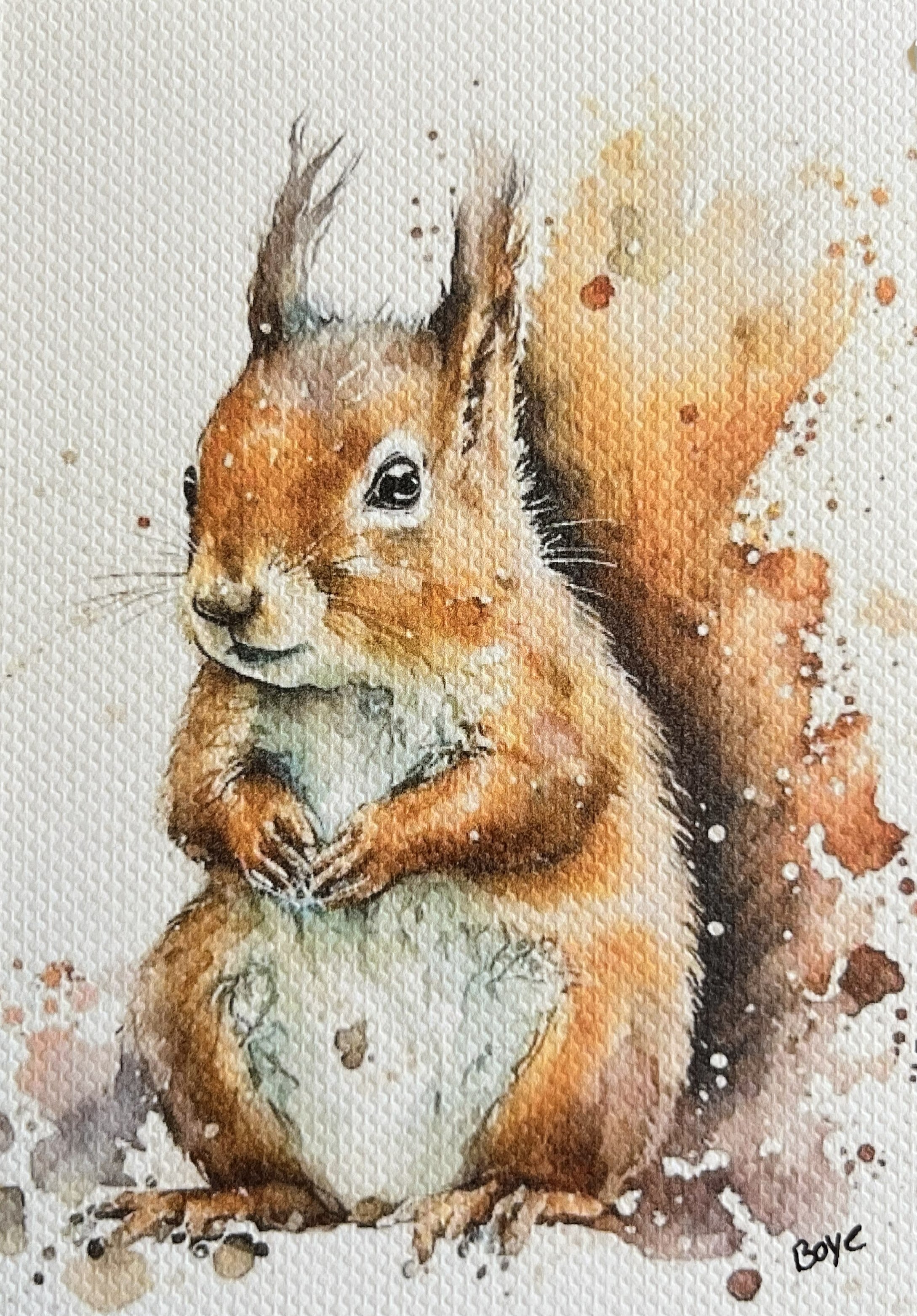Håndmalet akvarel af Egern – Kunst by Boye
